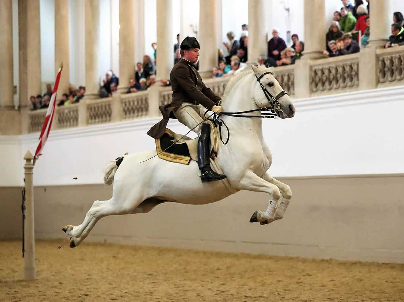 Vienna`s Famed Lipizzaner Stallions